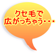 クセ毛で 広がっちゃう・・・